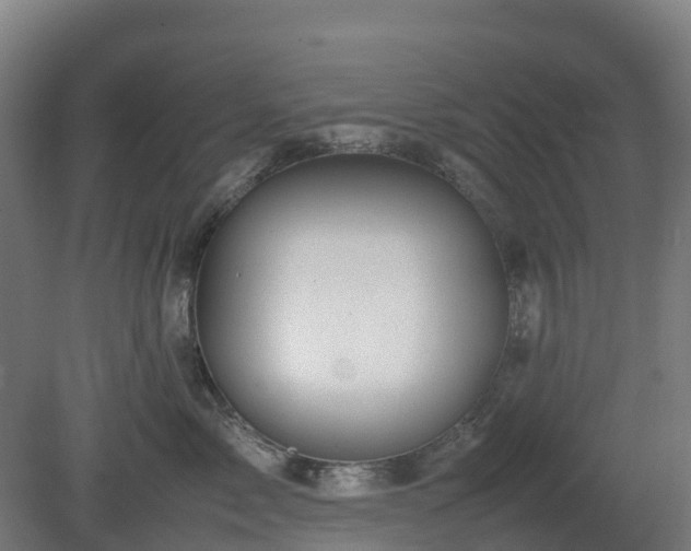 X0000080110717200612151647