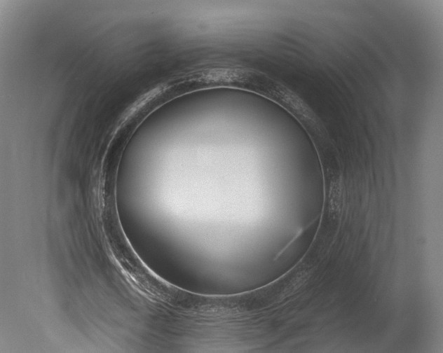 X0000080110722200612151646