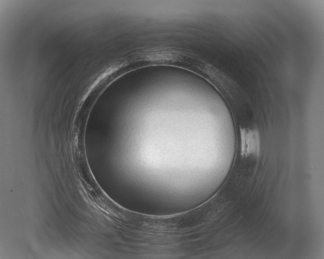 X0000080110723200612151646