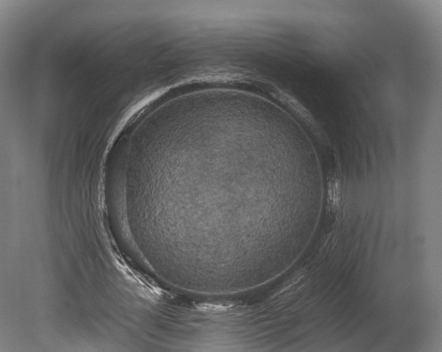 X0000080110724200612151646