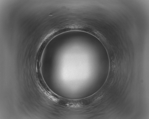X0000080110727200612151646