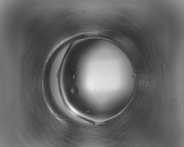 X0000080110728200612151646