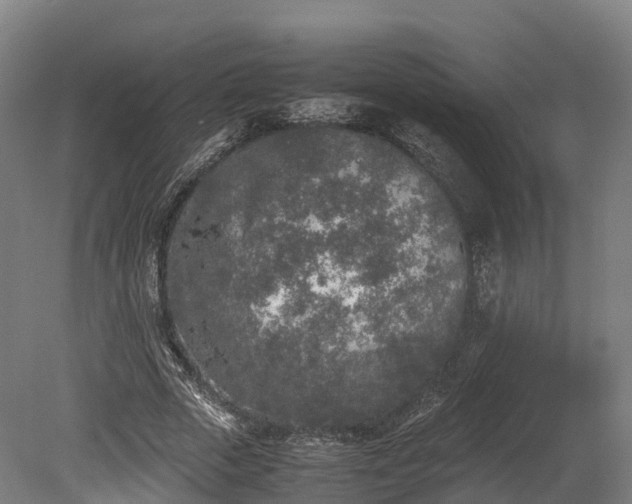 X0000080110729200612151646