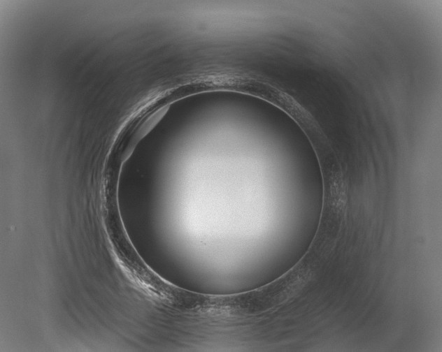 X0000080110730200612151646