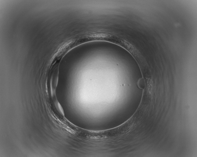 X0000080110731200612151646
