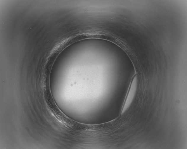 X0000080110732200612151646