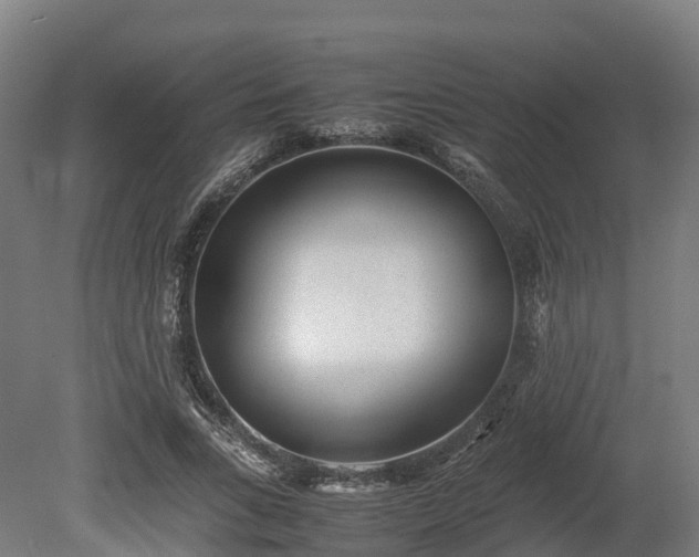 X0000080110735200612151646