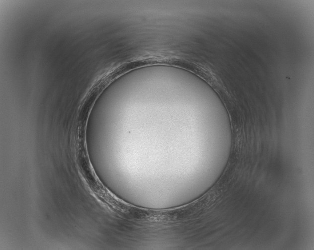 X0000080110736200612151646