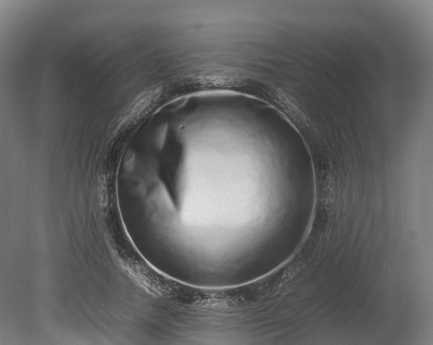 X0000080110738200612151646