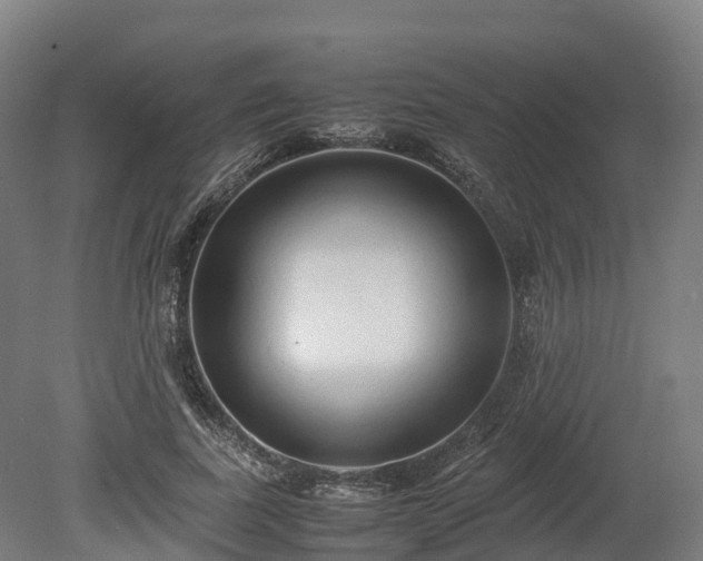 X0000080110739200612151646