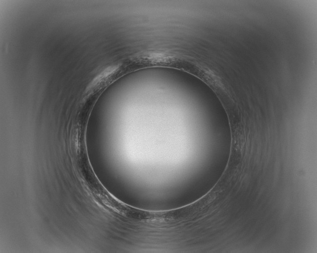 X0000080110740200612151646
