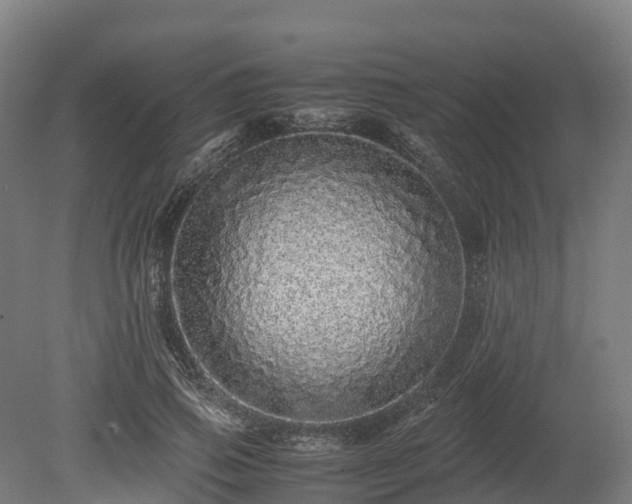 X0000080110741200612151646