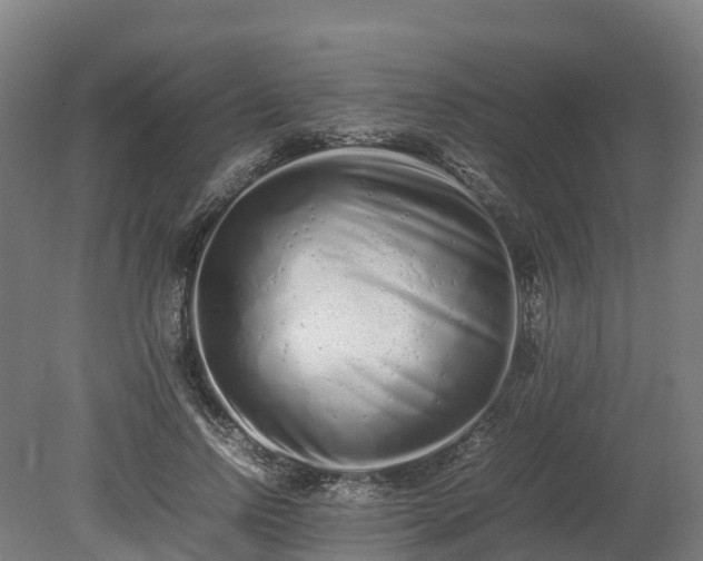 X0000080110742200612151646