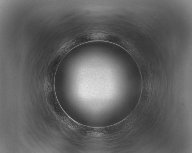 X0000080110743200612151646