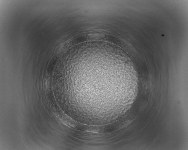 X0000080110745200612151646