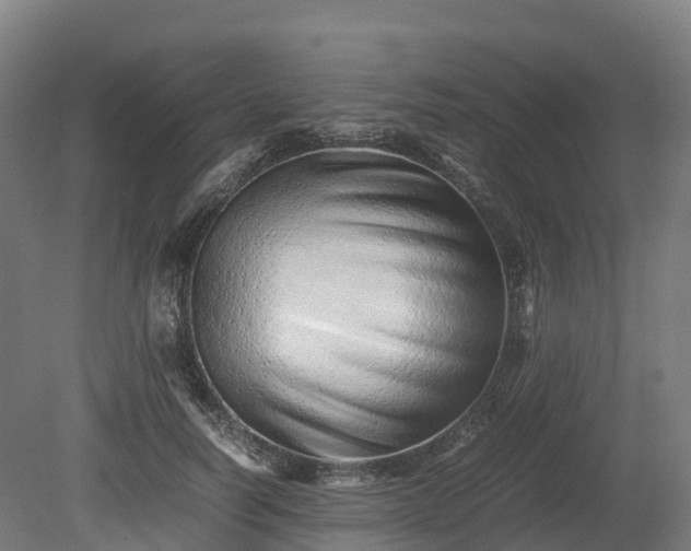 X0000080110746200612151646