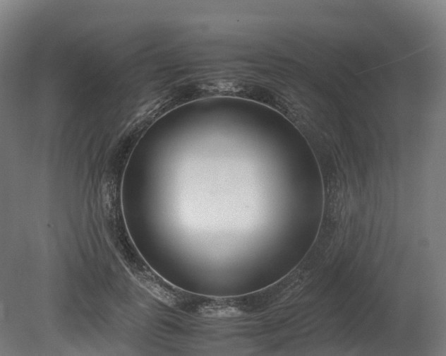 X0000080110747200612151646