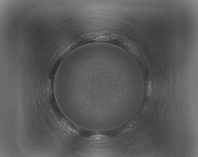 X0000080110748200612151646