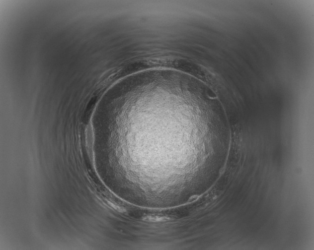 X0000080110749200612151646