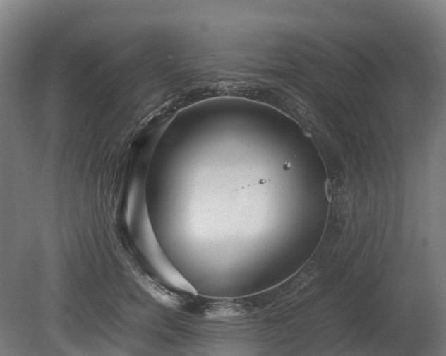 X0000080110750200612151646