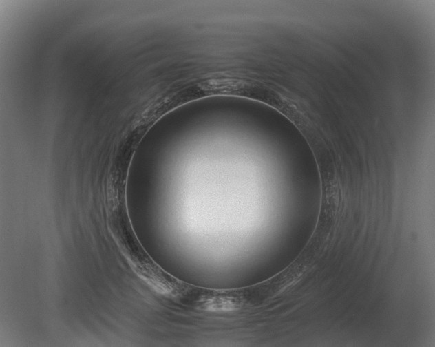 X0000080110751200612151646