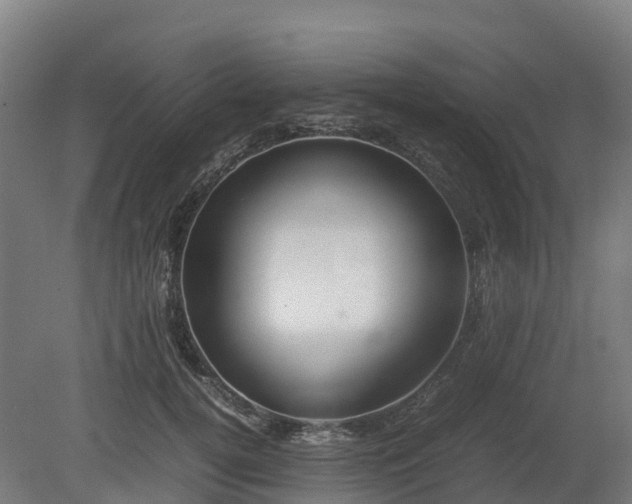 X0000080110752200612151646
