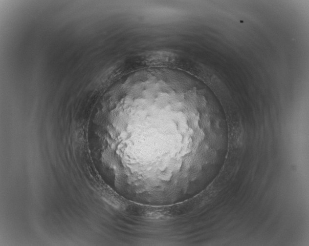 X0000080110753200612151646