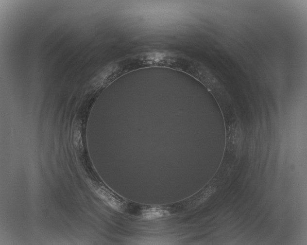 X0000080110754200612151646