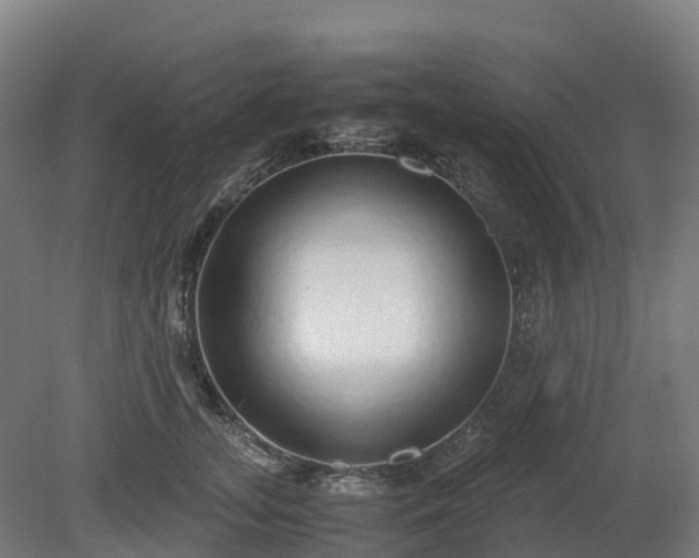 X0000080110755200612151646