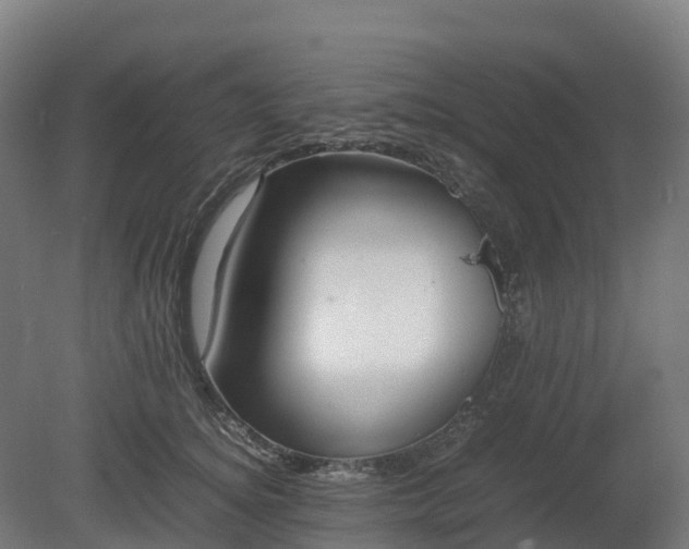 X0000080110756200612151646
