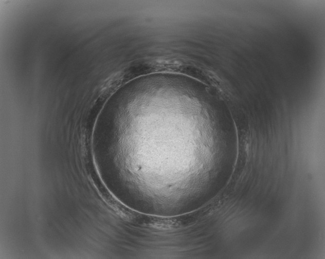 X0000080110757200612151646