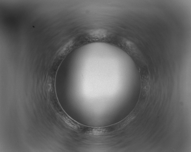 X0000080110758200612151646