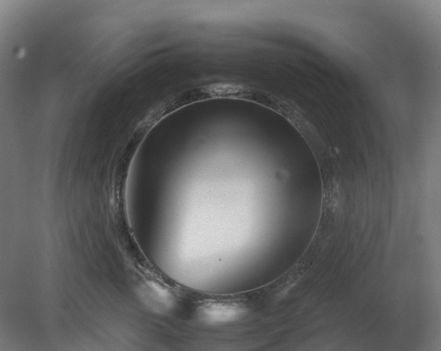 X0000080110763200612151646