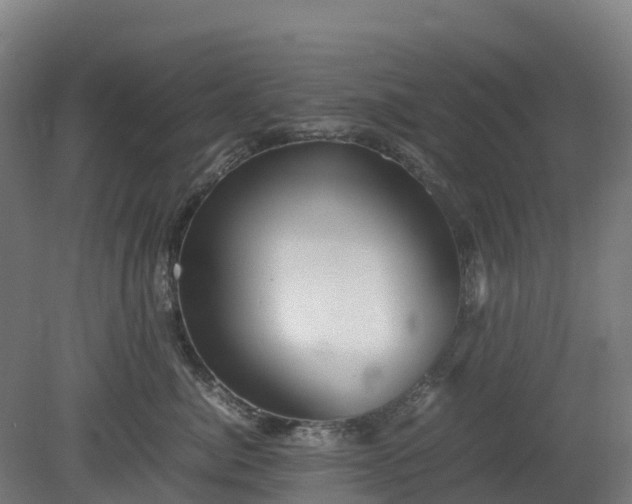 X0000080110764200612151646