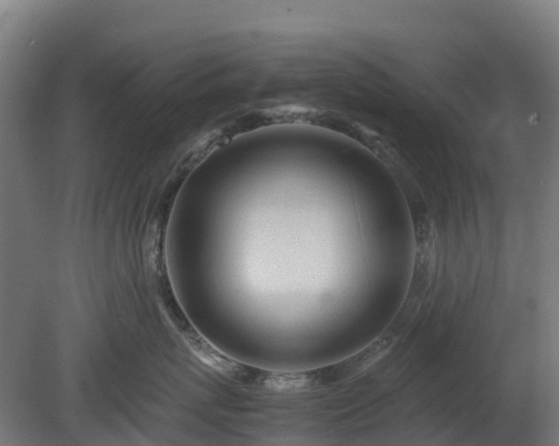 X0000080110767200612151647