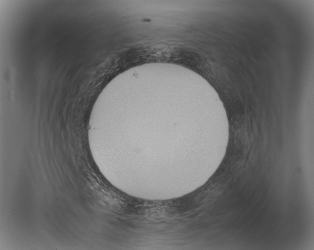 X0000080110769200612151646
