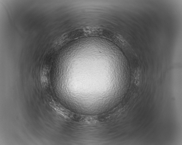 X0000080110770200612151646