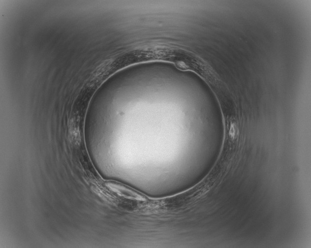 X0000080110771200612151646