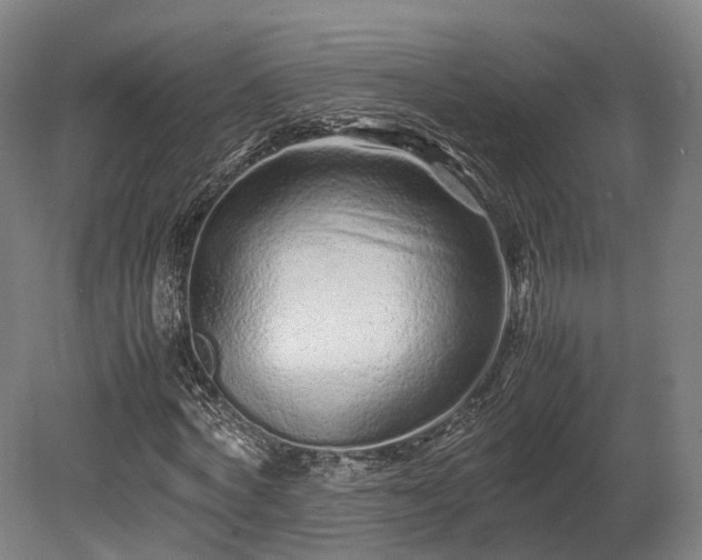 X0000080110772200612151646
