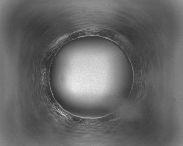 X0000080110773200612151646