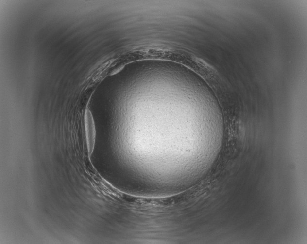 X0000080110774200612151646