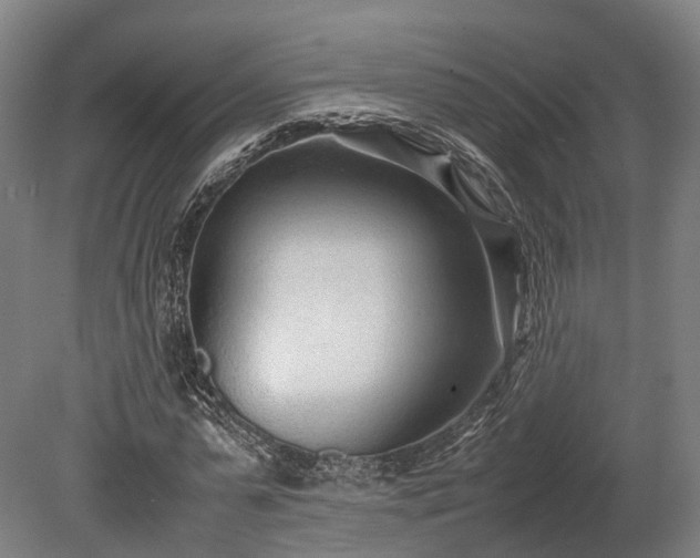 X0000080110775200612151646