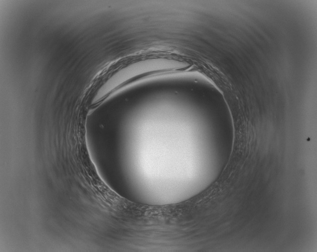 X0000080110776200612151646
