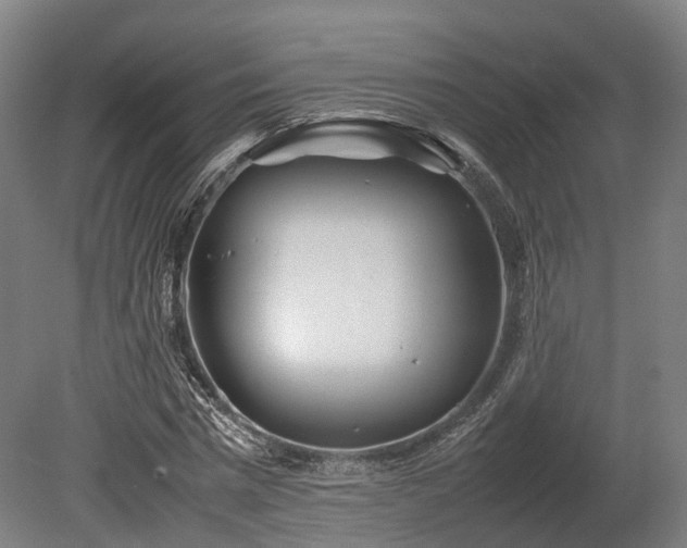 X0000080110777200612151646