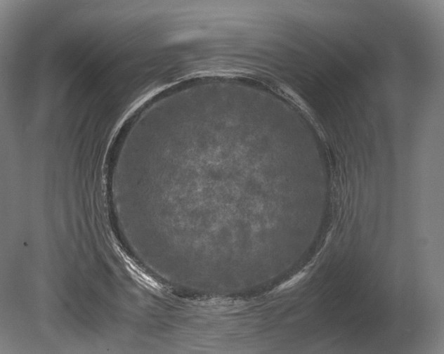X0000080110779200612151646