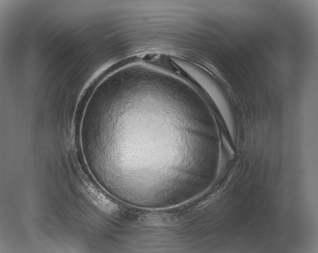 X0000080110780200612151646