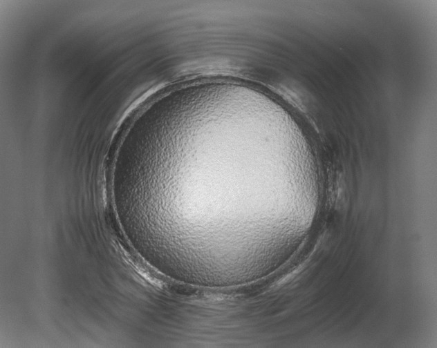 X0000080110782200612151646