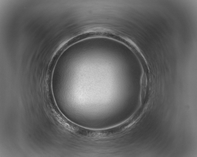 X0000080110783200612151646
