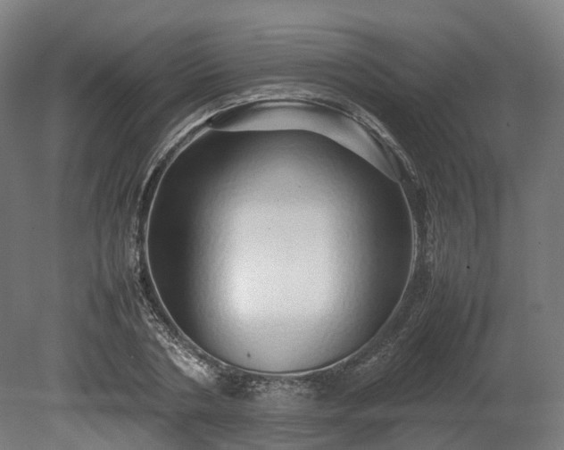 X0000080110786200612151645