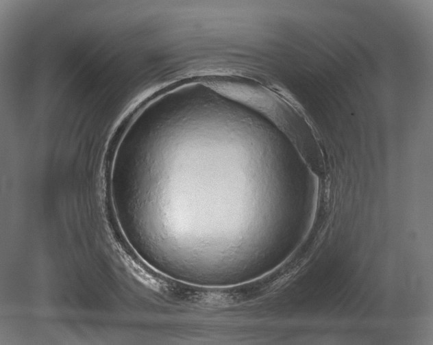 X0000080110787200612151645